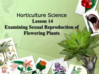 Horticulture Science Lesson 14 Examining Sexual Reproduction of Flowering Plants