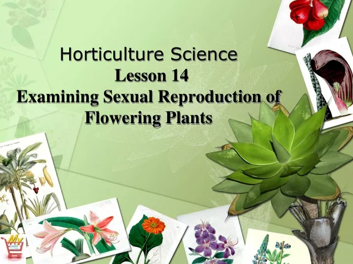 horticulture science lesson 14 examining sexual reproduction of flowering plants