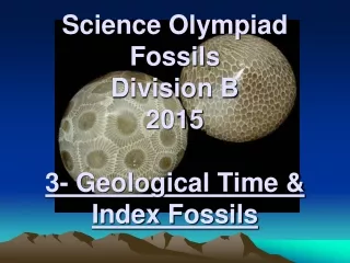 Science Olympiad Fossils Division B 2015 3- Geological Time &amp; Index Fossils