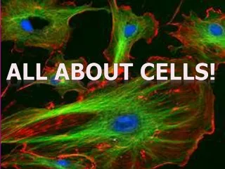 All About Cells!