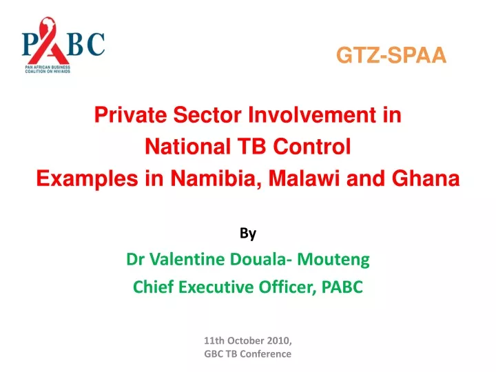 gtz spaa private sector involvement in national