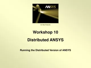 Running the Distributed Version of ANSYS