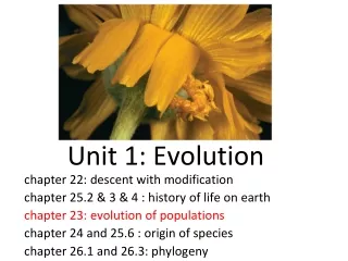 chapter 22: descent with modification chapter 25.2 &amp; 3 &amp; 4 : history of life on earth
