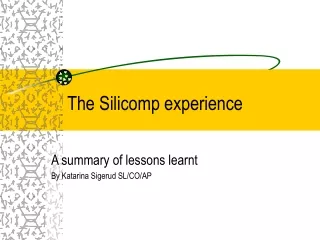The Silicomp experience