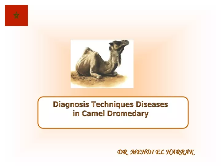 diagnosis techniques diseases in camel dromedary