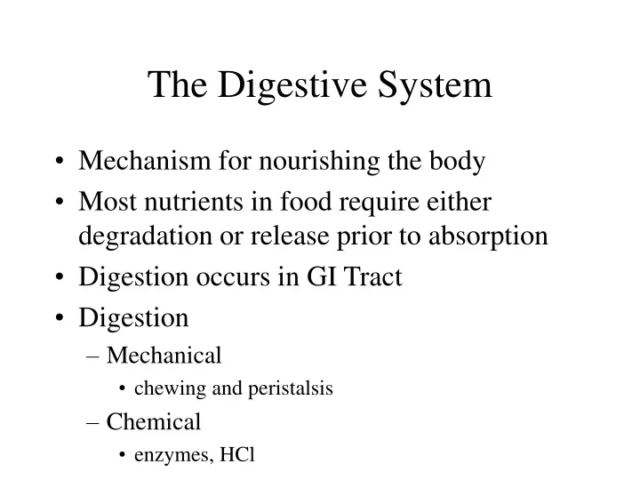 the digestive system