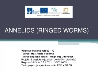 ANNELIDS (RINGED WORMS)