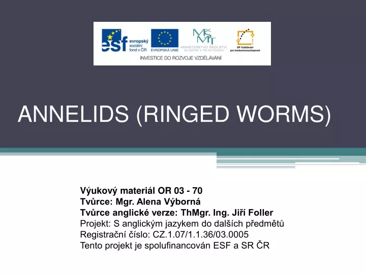 annelids ringed worms