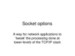 Comprehensive Guide to Socket Options in Network Applications - slide 1