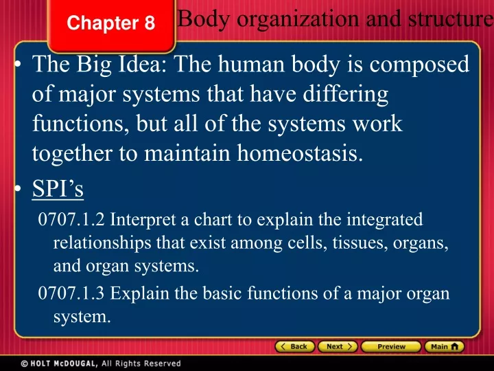 body organization and structure
