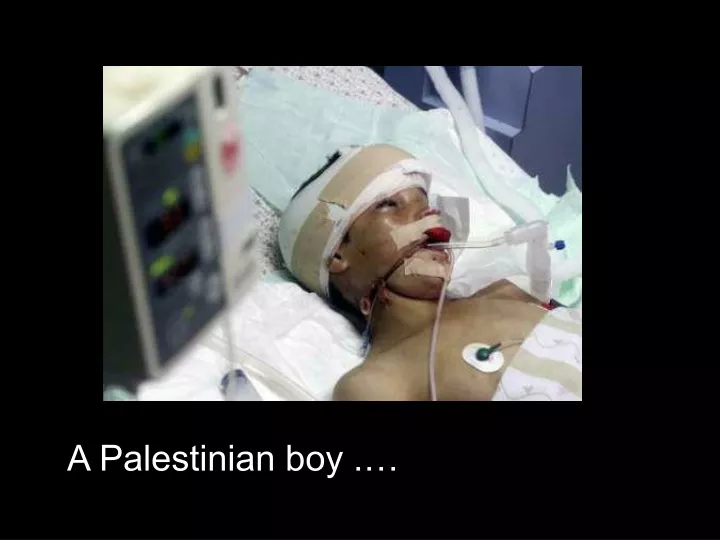 a palestinian boy