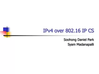 IPv4 over 802.16 IP CS
