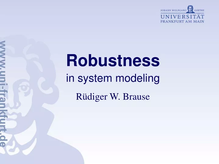 robustness in system modeling r diger w brause