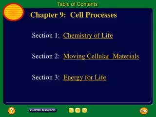 Chapter 9:  Cell Processes