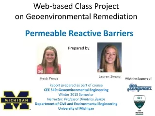 Web-based Class Project on Geoenvironmental Remediation