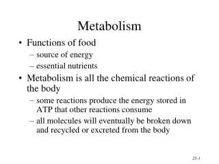 Metabolism