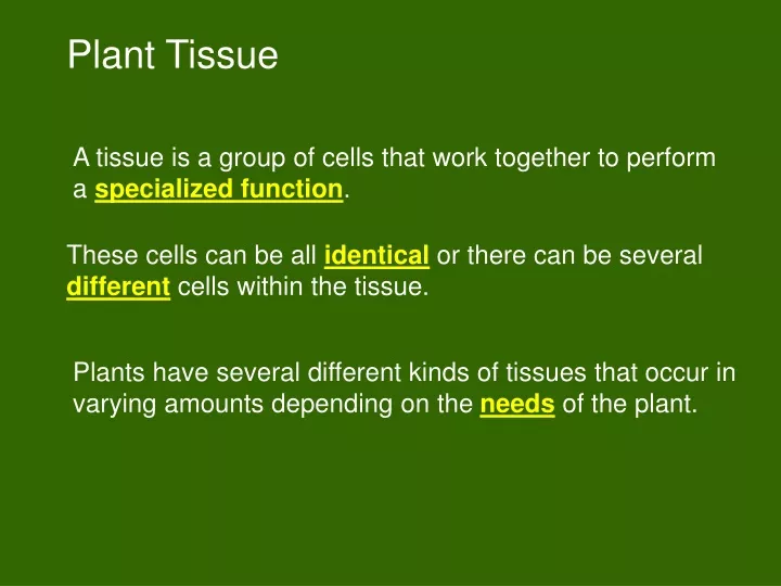plant tissue