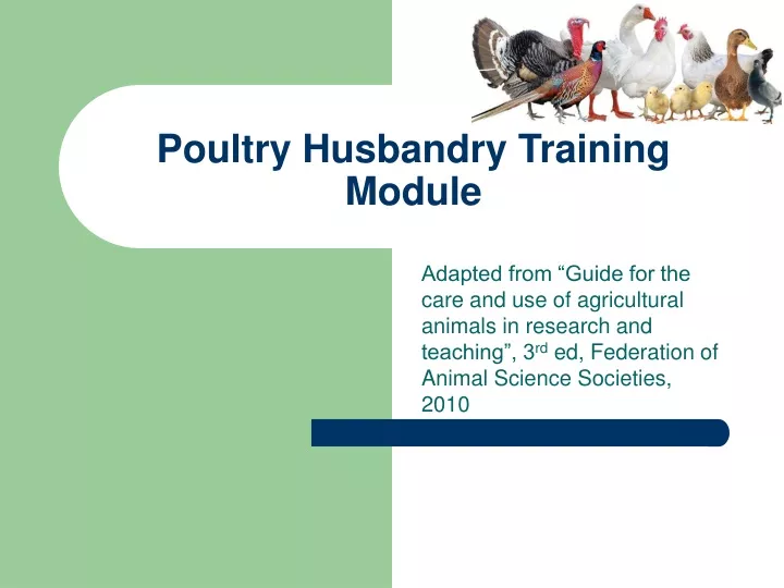 poultry husbandry training module