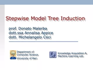 Stepwise Model Tree Induction