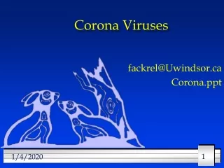 Corona Viruses