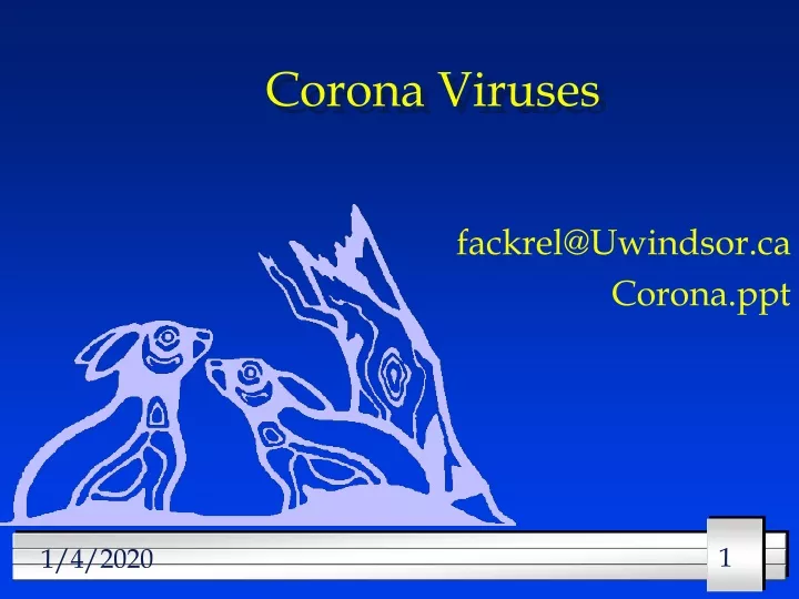 corona viruses