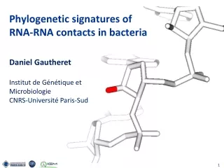 Phylogenetic signatures of RNA-RNA contacts in bacteria