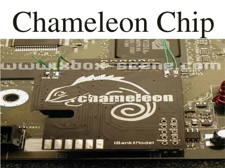chameleon chip