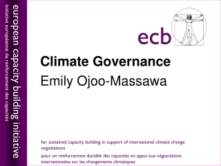 Climate Governance Emily  Ojoo-Massawa