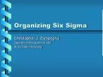 Organizing Six Sigma