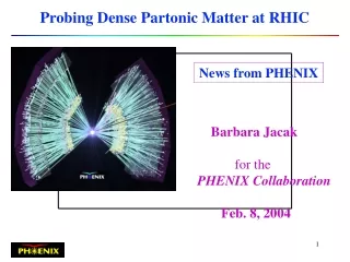 Probing Dense Partonic Matter at RHIC