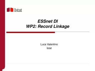 ESSnet DI WP2: Record Linkage