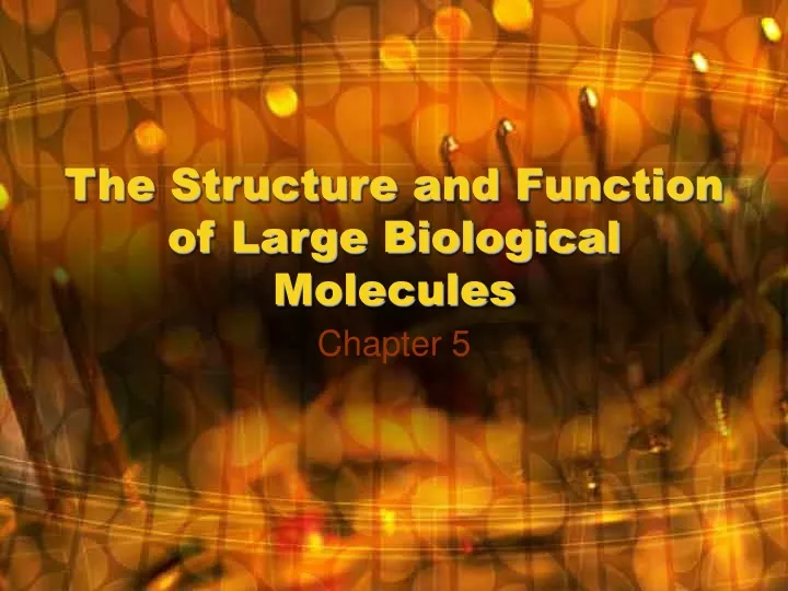 the structure and function of large biological molecules