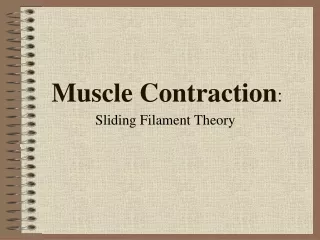 Muscle Contraction :