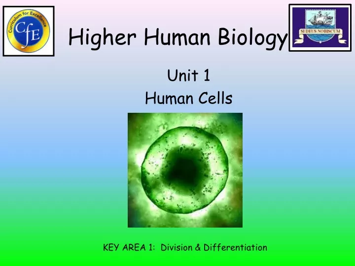 higher human biology