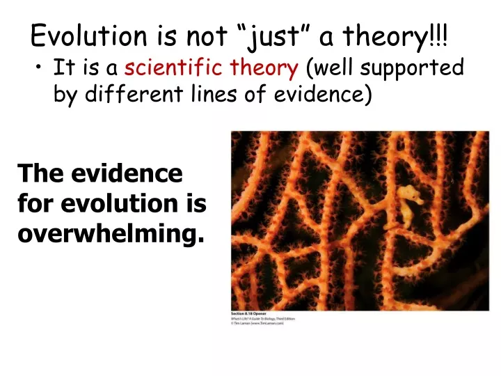 evolution is not just a theory