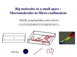 Big molecules in a small space : Macromolecules in Micro-confinement