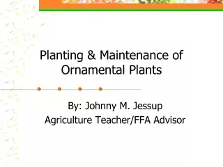 Planting &amp; Maintenance of Ornamental Plants