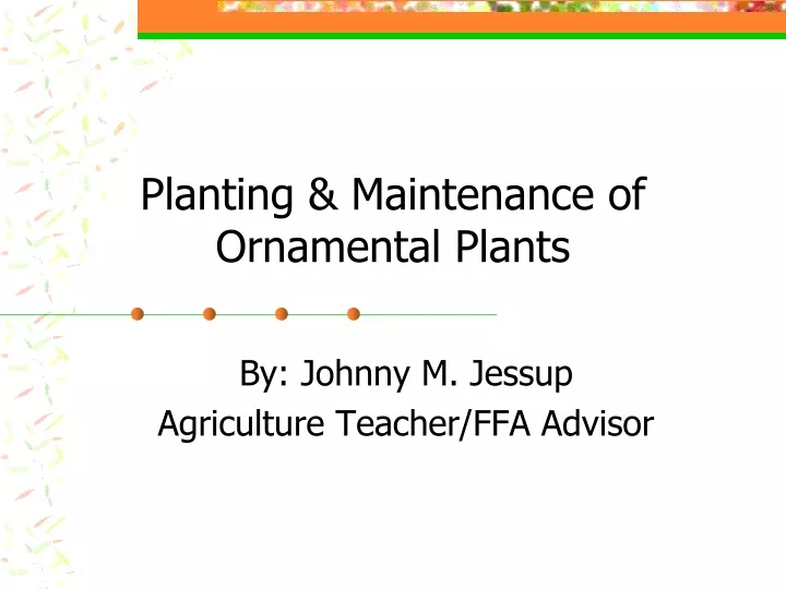 planting maintenance of ornamental plants