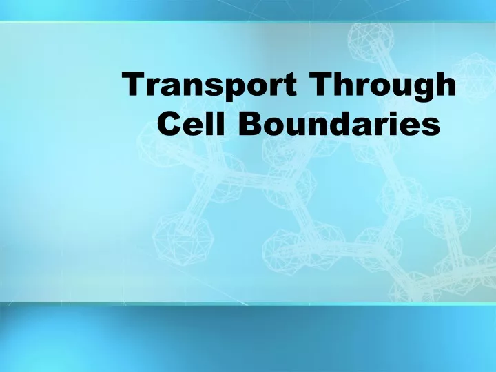 transport through cell boundaries