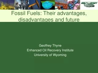 Fossil Fuels: Their advantages, disadvantages and future