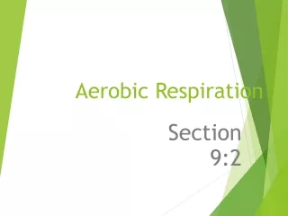 Aerobic Respiration