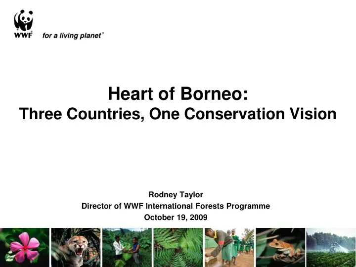 heart of borneo three countries one conservation vision