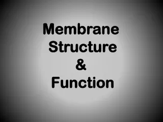 Membrane  Structure  &amp;  Function