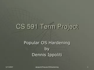 CS 591 Term Project