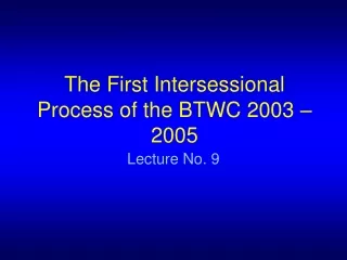 The First Intersessional Process of the BTWC 2003 – 2005