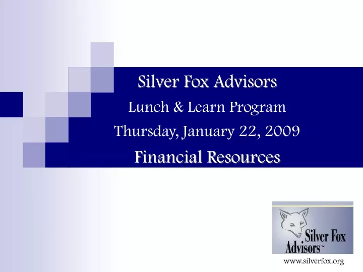 silver fox advisors lunch learn program thursday january 22 2009 financial resources