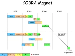 COBRA Magnet