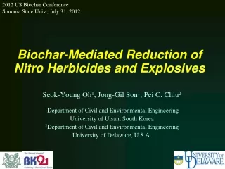 Biochar-Mediated Reduction of Nitro Herbicides and Explosives