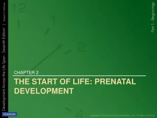 THE START OF LIFE: PRENATAL DEVELOPMENT