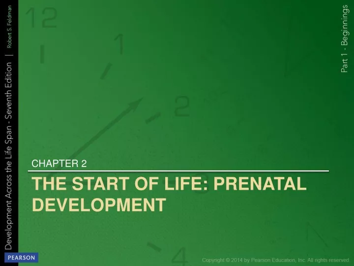 the start of life prenatal development